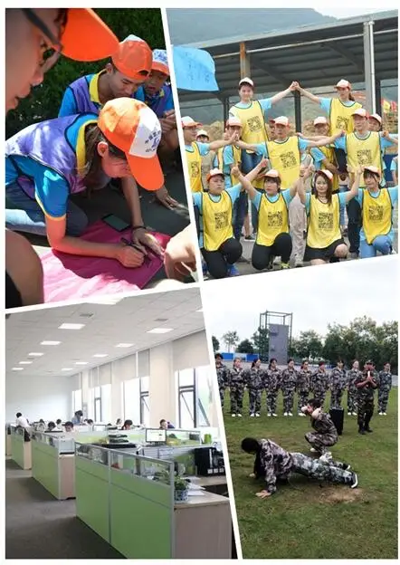 
Fast Delivery Buy Oxolinic Acid with Best Price 99% Purity Powder 