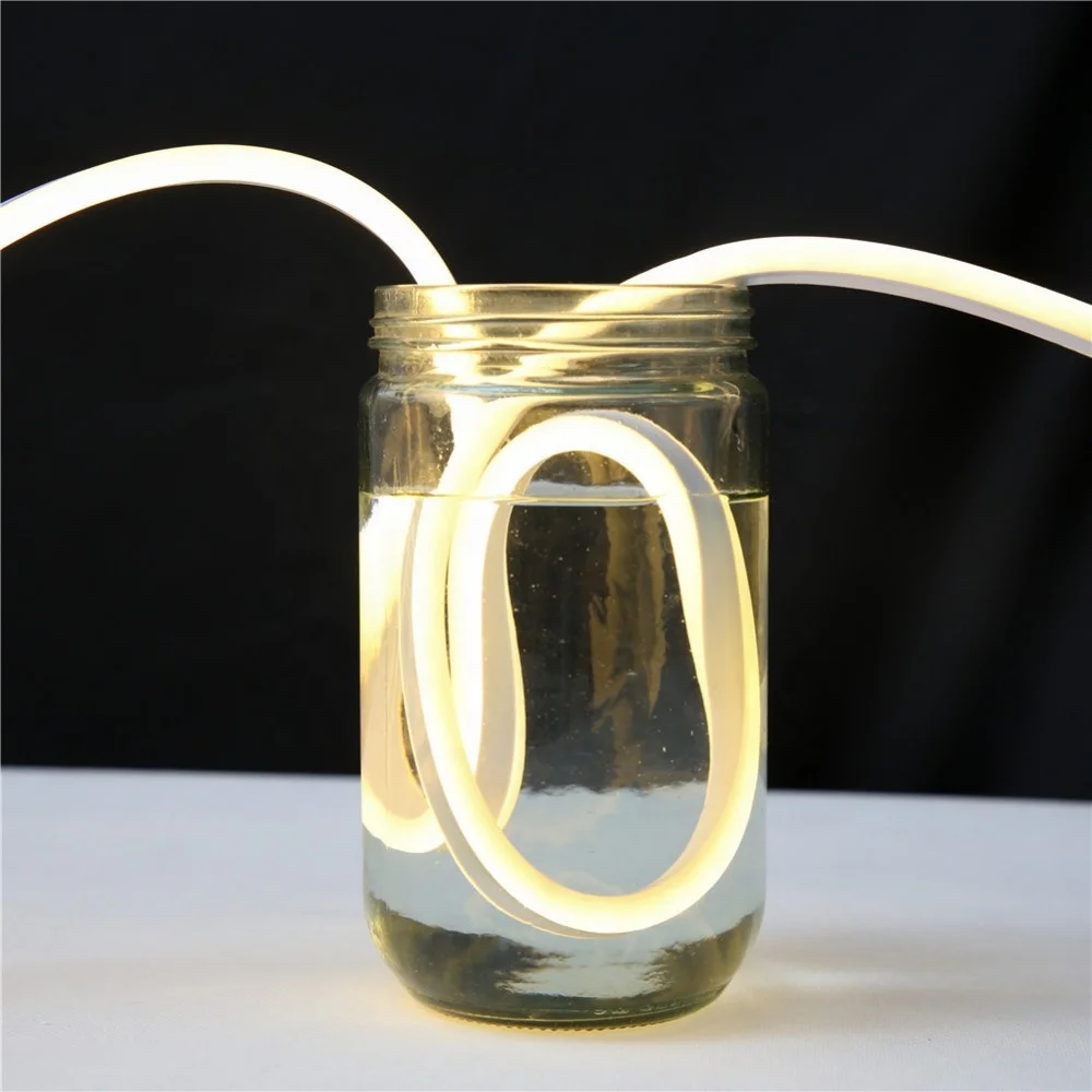 factory price customized 8*16mm strip light warm white  led neon light  for christmas