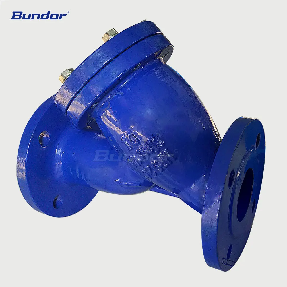 Bundor Factory ANSI Metal Flanged Y Type Strainer Filter For Water Control