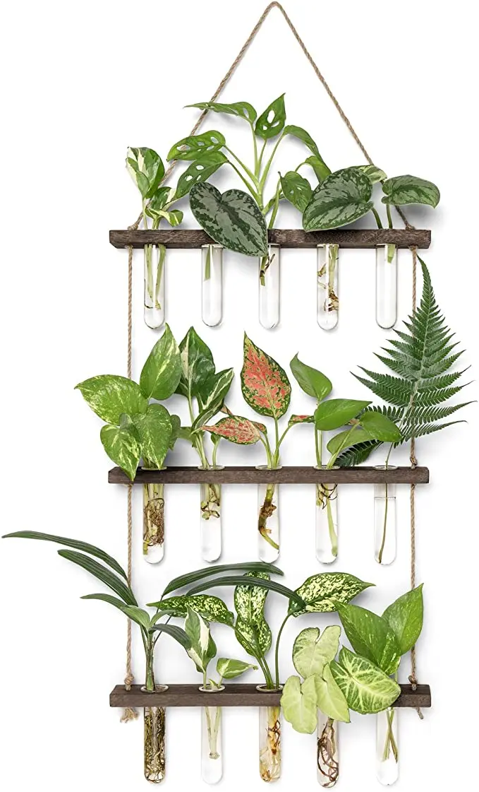 3 Tiered Wall Hanging Plant Terrarium with Wooden Stand Mini Test Tube Flower Vase Glass Planter Plant Propagation Tubes