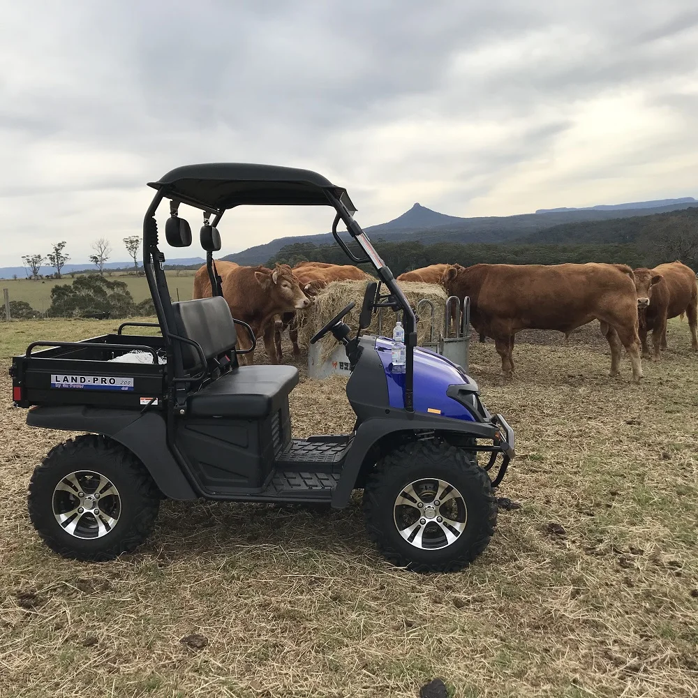  Ферма Boss 200cc EFI охотничья ферма UTV с высокой/низкой