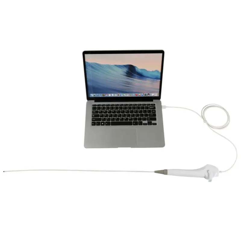 USB-эндоскоп для диагностики домашних животных