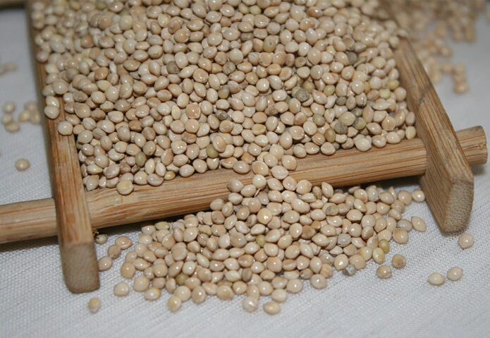 
Yellow Glutinous Broomcorn Millet for bird food 