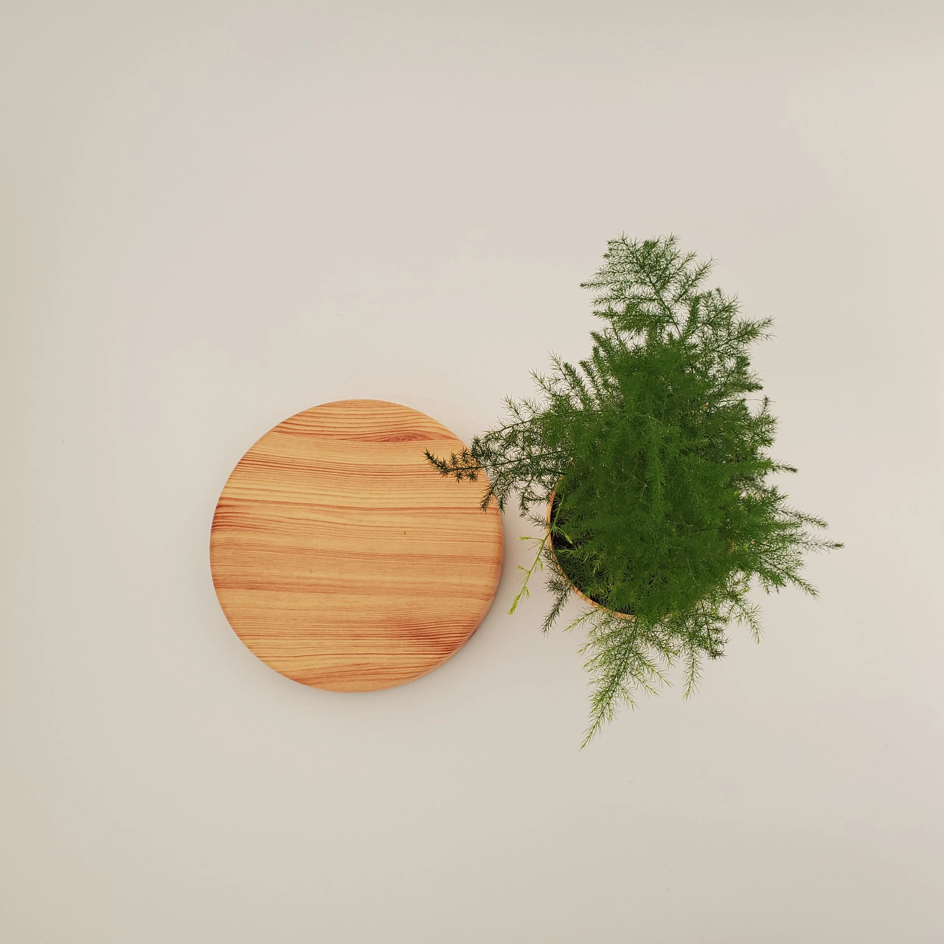 HCNT Magnetic Levitating Wooden Bonsai Floating Flower Pot Modern and Creative Gift for New Year&Birthday or Indoor Decoration