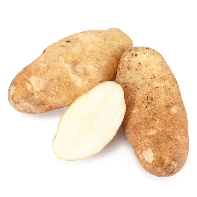 
Mexico Grown Vegetables POTATO WHITE Potatoes Robinson Fresh MOQ 50 LBS Quick Delivery in US 