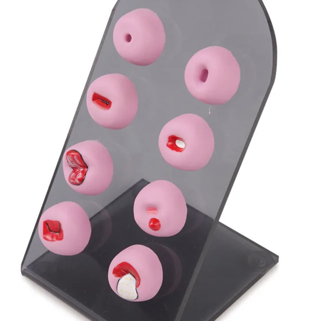 Модель шейного отдела позвоночника