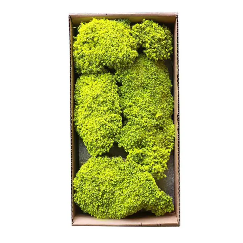 long using time Artificial Moss Preserved Live for landscape indoor and outdoor decorative