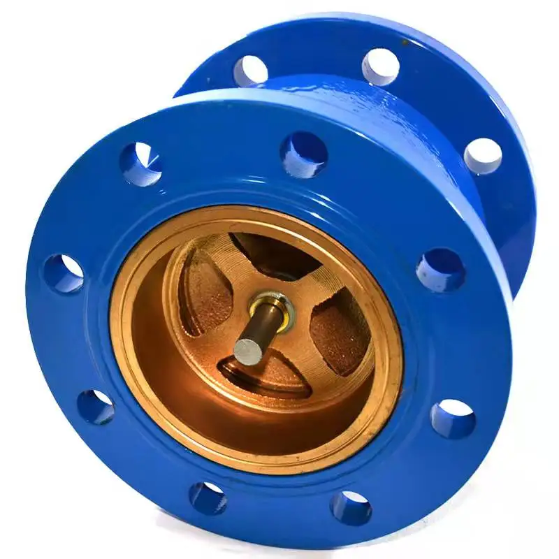 Flow Control Water System Globe Silent Check Valve