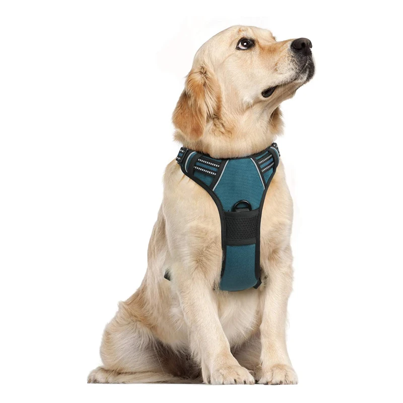 Fondopet Custom Tailored Made Cyan Harness No Pull Peteded Harness with Dog Collar