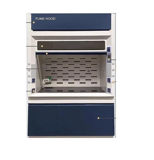 Laboratory Ventilation Device Full Steel Laboratory Fume Hood Chemical Fume Hood