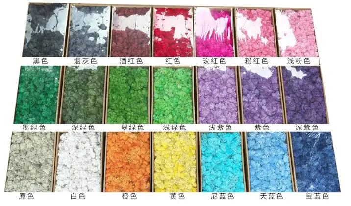 Reindeer Moss Wall Decoration Preserved Floral Decorative Moss Eternal Natural Preserved Moss