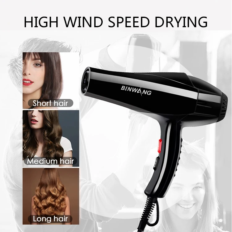 Wholesale 2200W Electric Ionic Salon Hair Dryer Professional AC Motor Concentrator Nozzle Portable Outdoor Use Custom