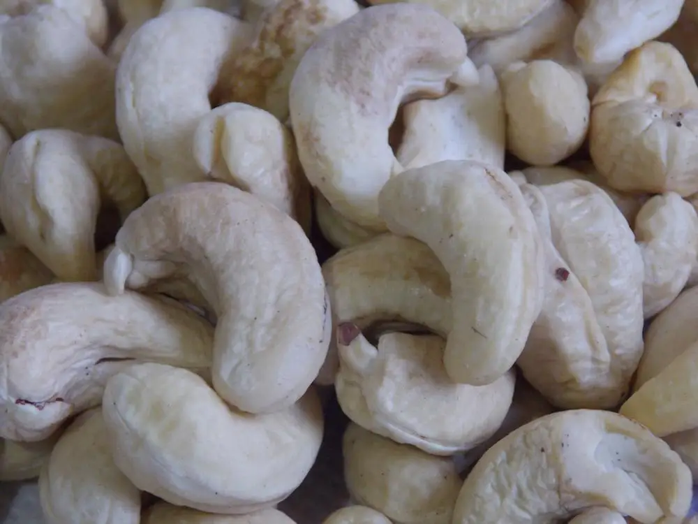 
Dried Cashew Nut Without Shell Raw Seeds 