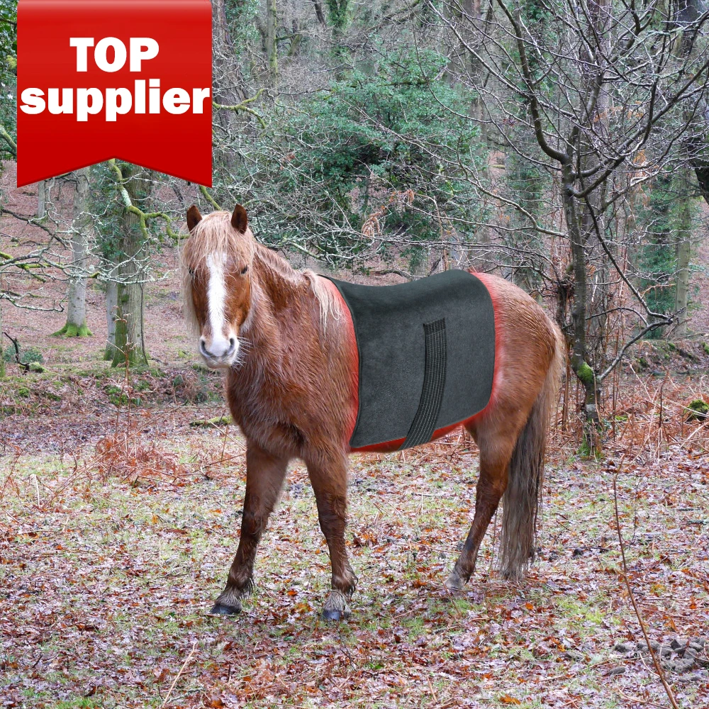 OEM ODM 1540pcs Large Near Infrared Light Therapy Device Blanket Belt 2 PULSING THERAPY LED red light therapy mat