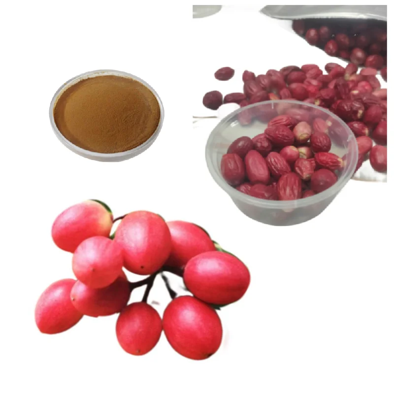 100% натуральный экстракт чудо-фруктов порошок Synsepalum Dulcificum сублимированный чудо-фрукт