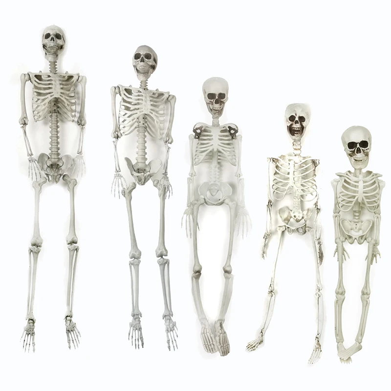 Страшный подвесной полноразмерный скелет человека в стиле Хэллоуин подвижные суставы пластиковый на