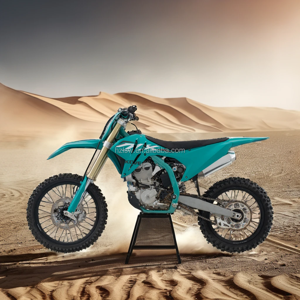 Bosch 450cc Off-Road Cross Bike with 48.5KW Engine Power for Enduro Riders EFI System