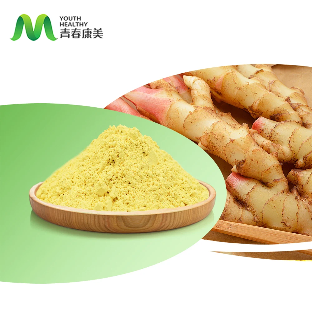 Manufacturer Supply Hot Selling Organic Ginger Powder