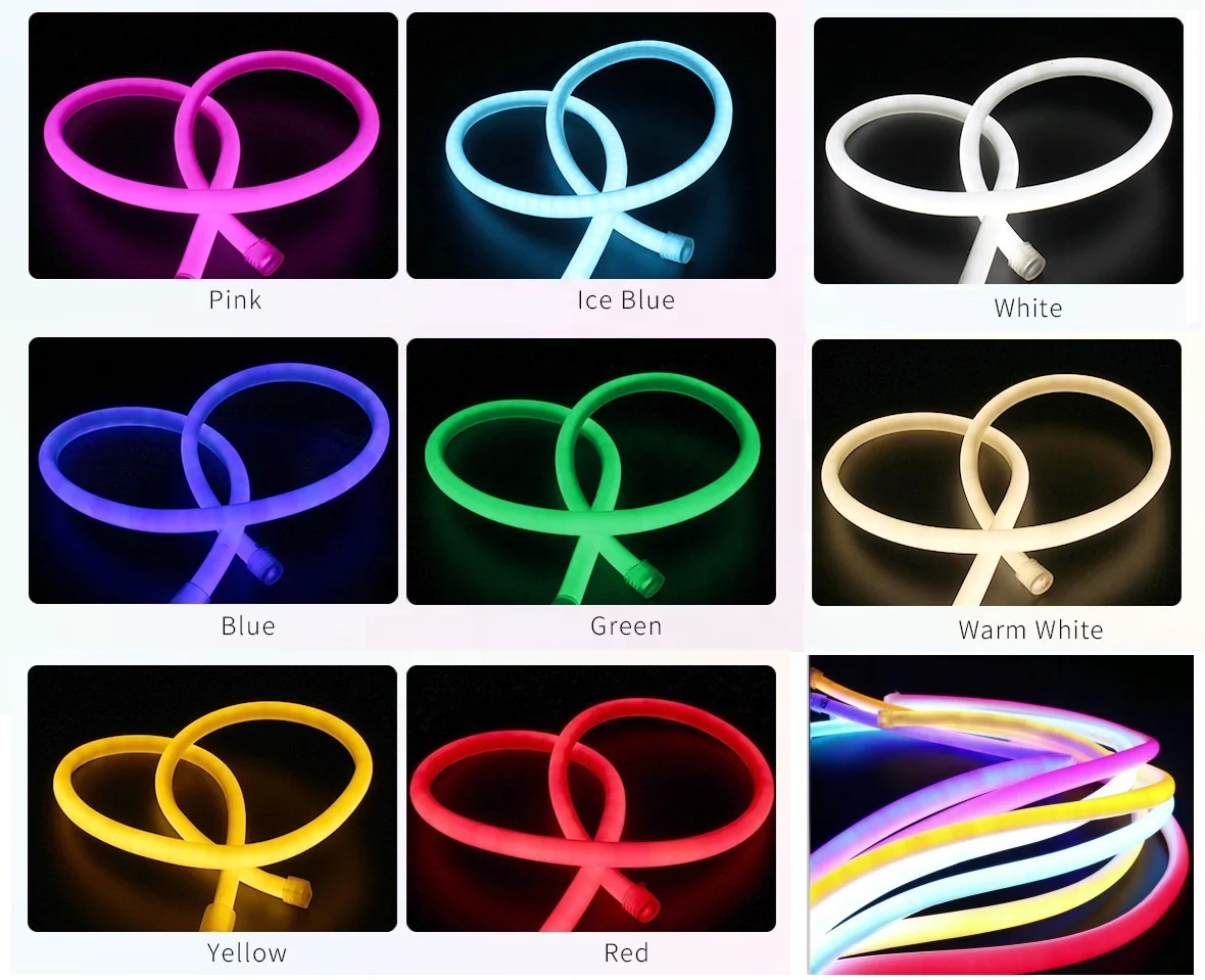 DC24V round R22mm led neon light