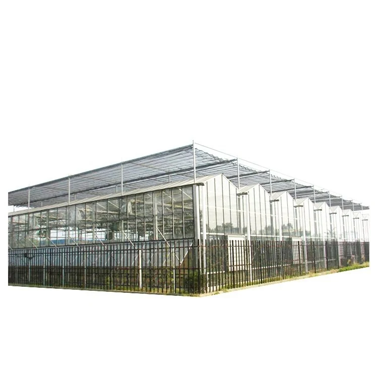 Factory Wholesale Custom Terrarium Plexiglass Sunrooms Greenhouse Garden for Plant Growth