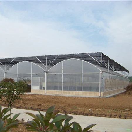 
High Quality Etfe Film Greenhouse Uv Treated Plastic Film Greenhouse 