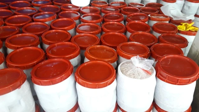 Salted Baby Shrimps from Vietnam for Korea Shrimp Prawn Market  Light Pink Sea Catch Canned/ Whatsap/ Kakaotalk 0084 989 322 607