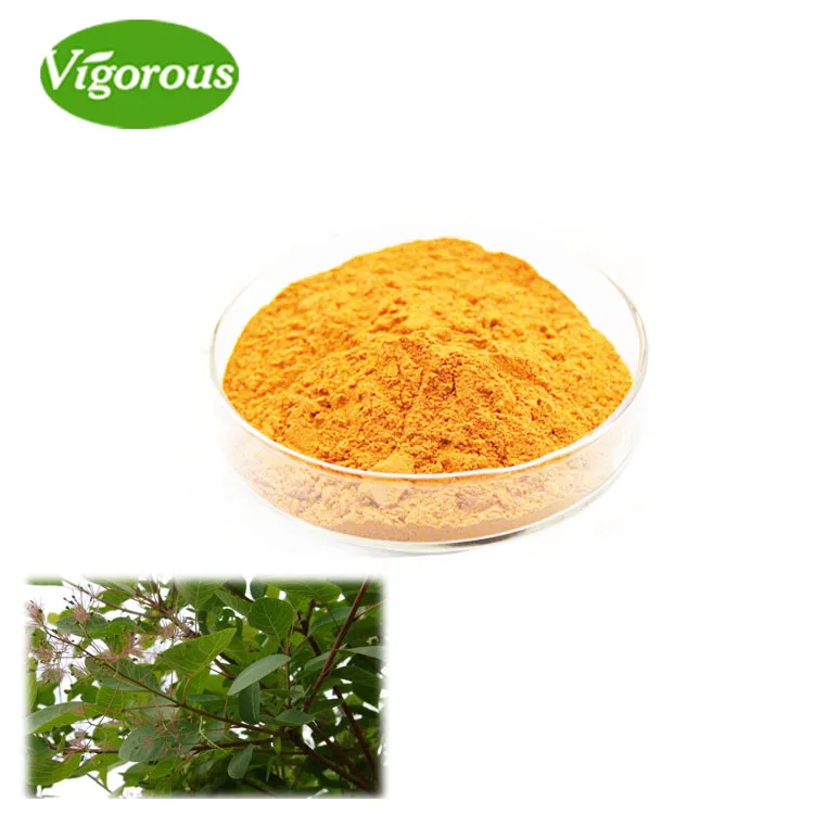 Low PAHS best quality Cotinus coggygria 50%-98% Fisetin extract powder