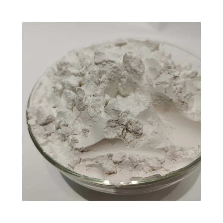 Top Grade Off-White Natural Diatomaceous Earth Powder for Aquaculture from Leading Supplier