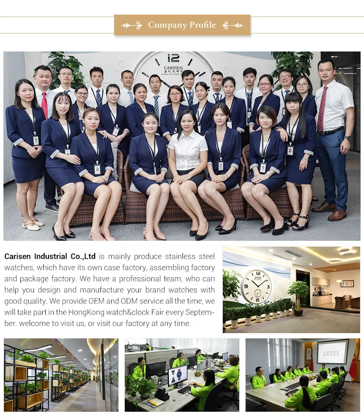 Movement Quartz Watch Trend Design Vintage Japan Women Gold Silver 2019 316 Stainless Steel TY Single Bridge Japanese 2035 100