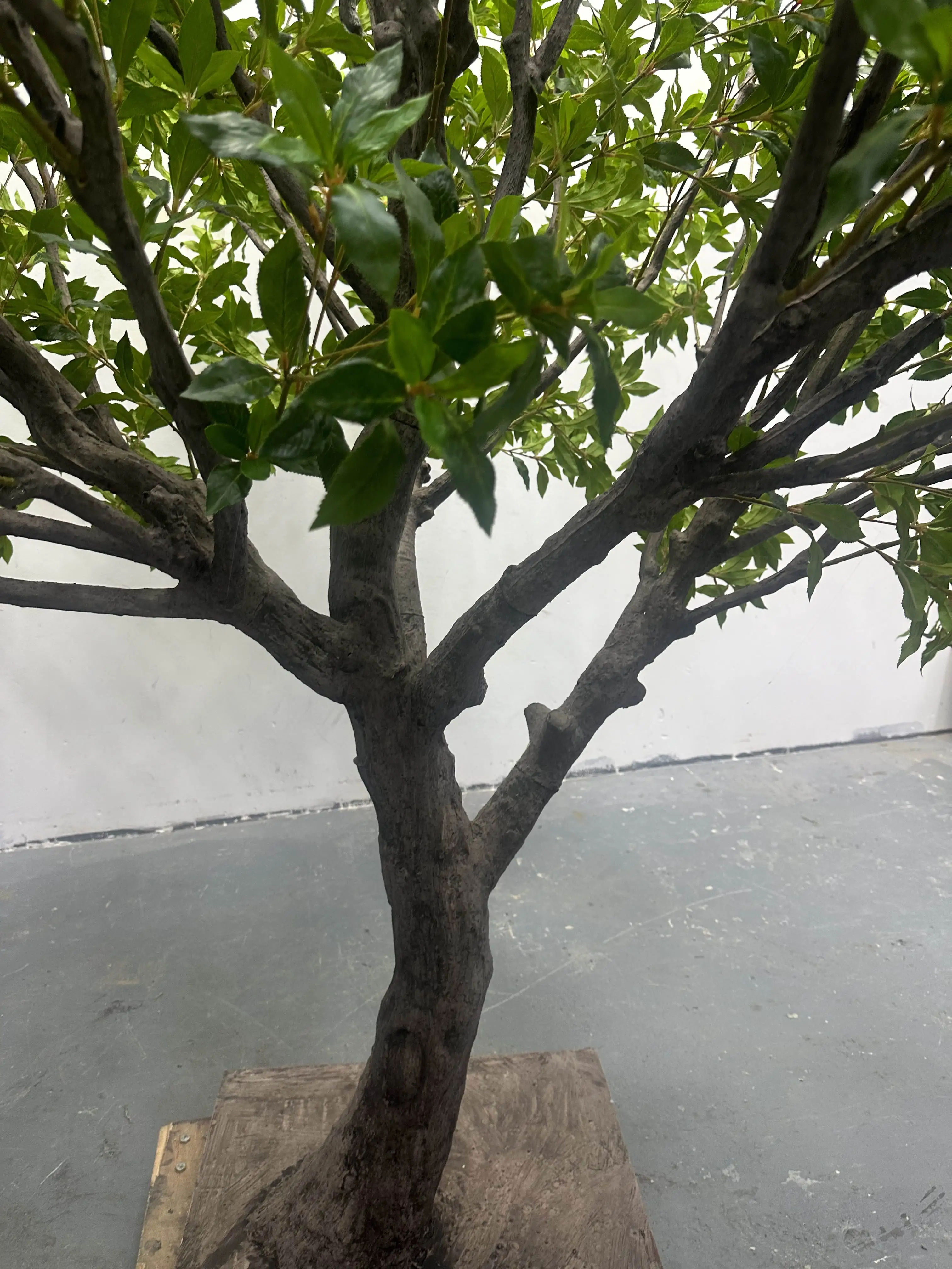 Customized Handmade DIY Fake  Green Leaves Japanese Andromeda Artificial Pieris Japonica Tree For Interior Home Mall Decoration