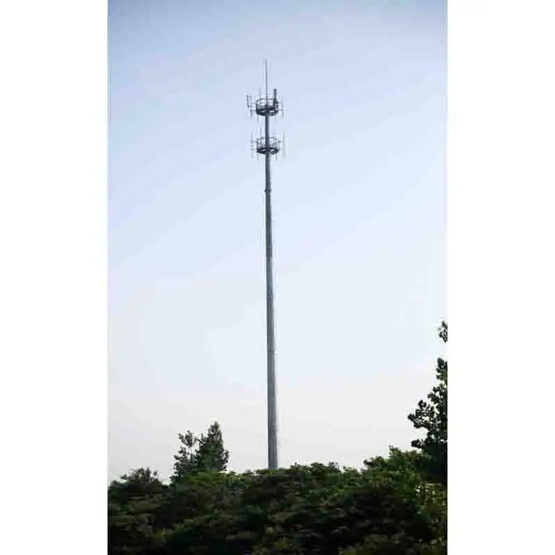Communication Antenna 30m Self Supporting Mast Wifi Tower Telecom Price Supported Steel Cell 40m 30 Meter Monopole Tower