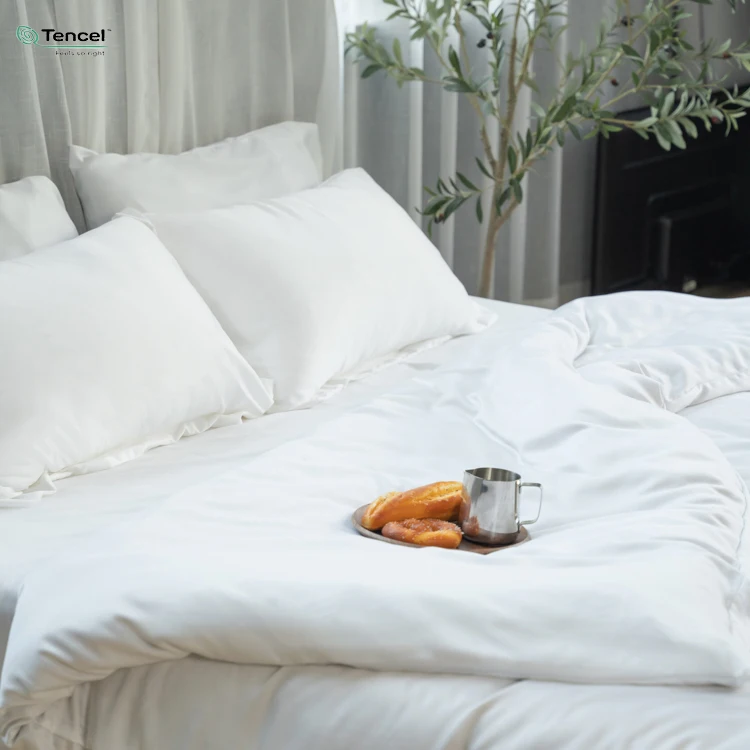 Plain Dyed Bedding Comforter Sets Luxury Tencel Fiber Bedsheet Lenzing Tencel Pillow Tencel Bedsheet Bedding Sets