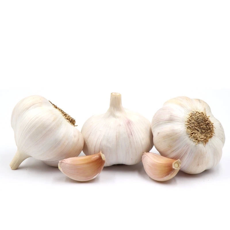
2020 Natural Fresh Clean Surface Small Chinese Fresh Natural Garlic 