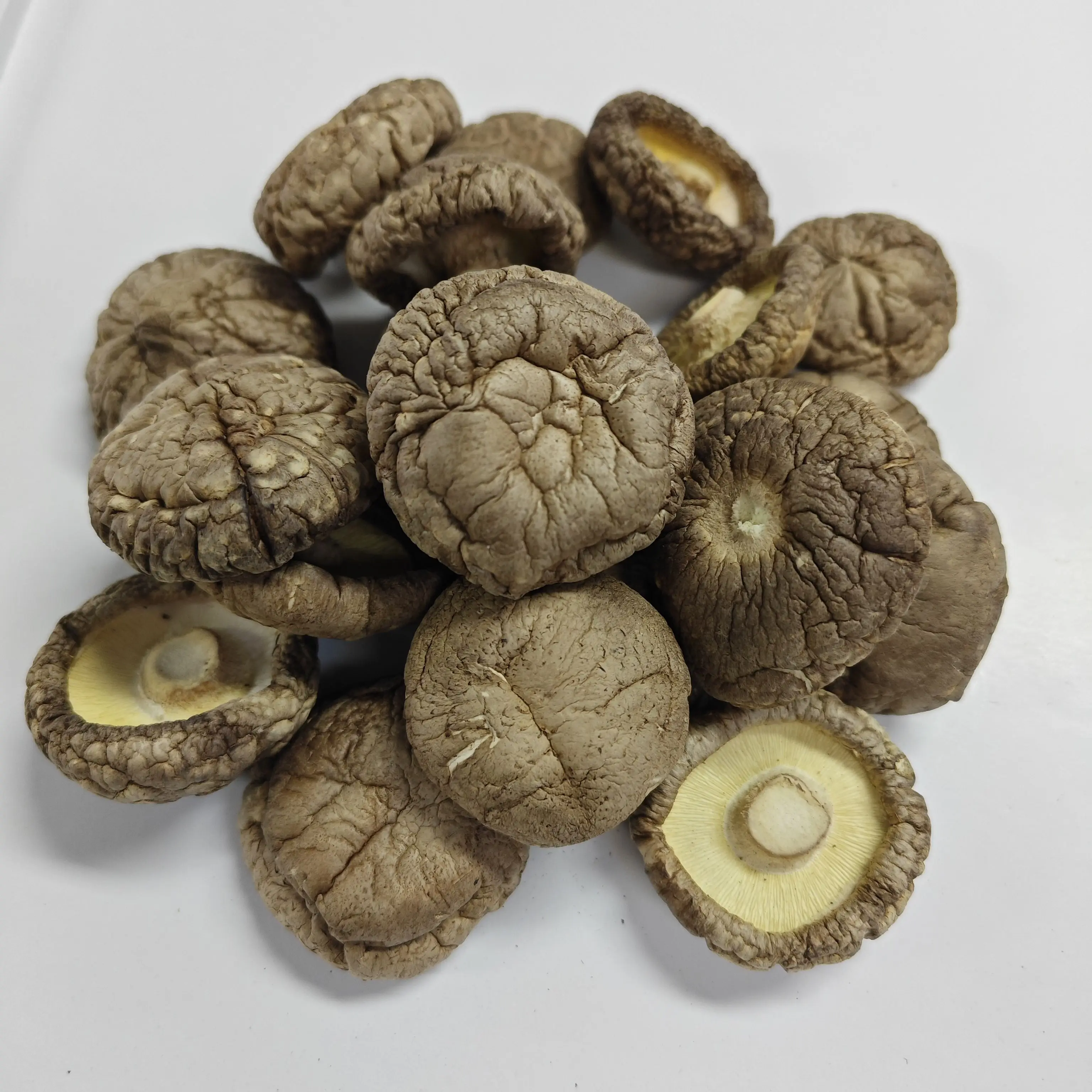 High Quality Dried Shiitake Mushroom Wholesale Price