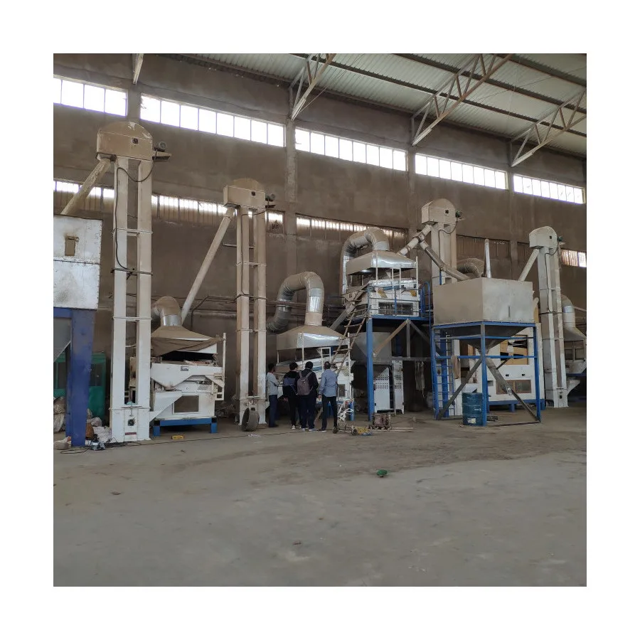 paddy rice Seed Grain Cleaner sesame Grader Selecting Machine Grain Cleaning and Grading Machine