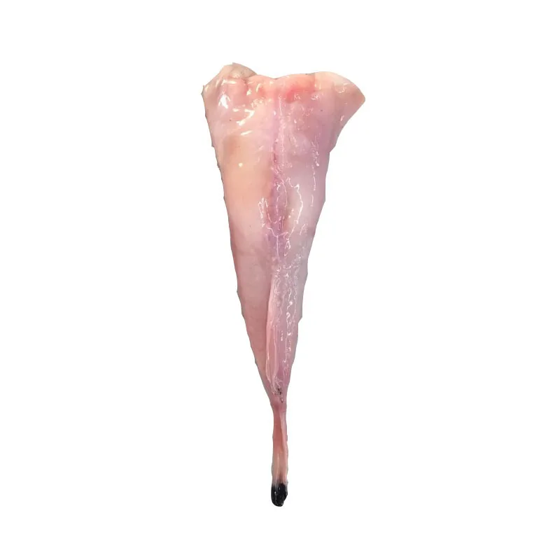
New Arrival Frozen Monkfish Tail Fillet BQF 