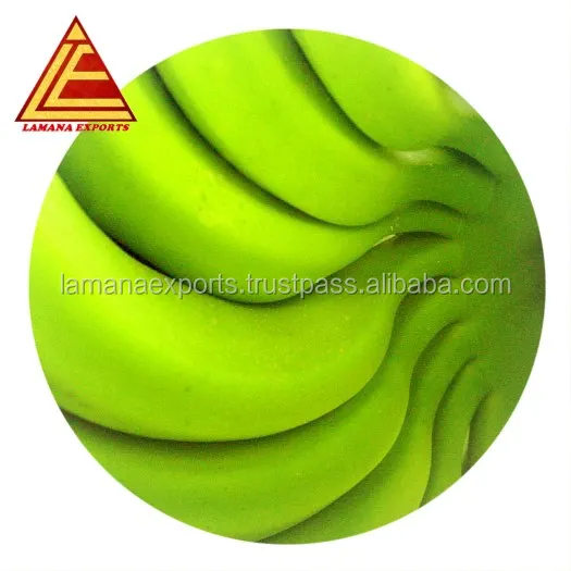 
Fresh Cavendish banana- India for Export Vietnam Malaysia Singapore 