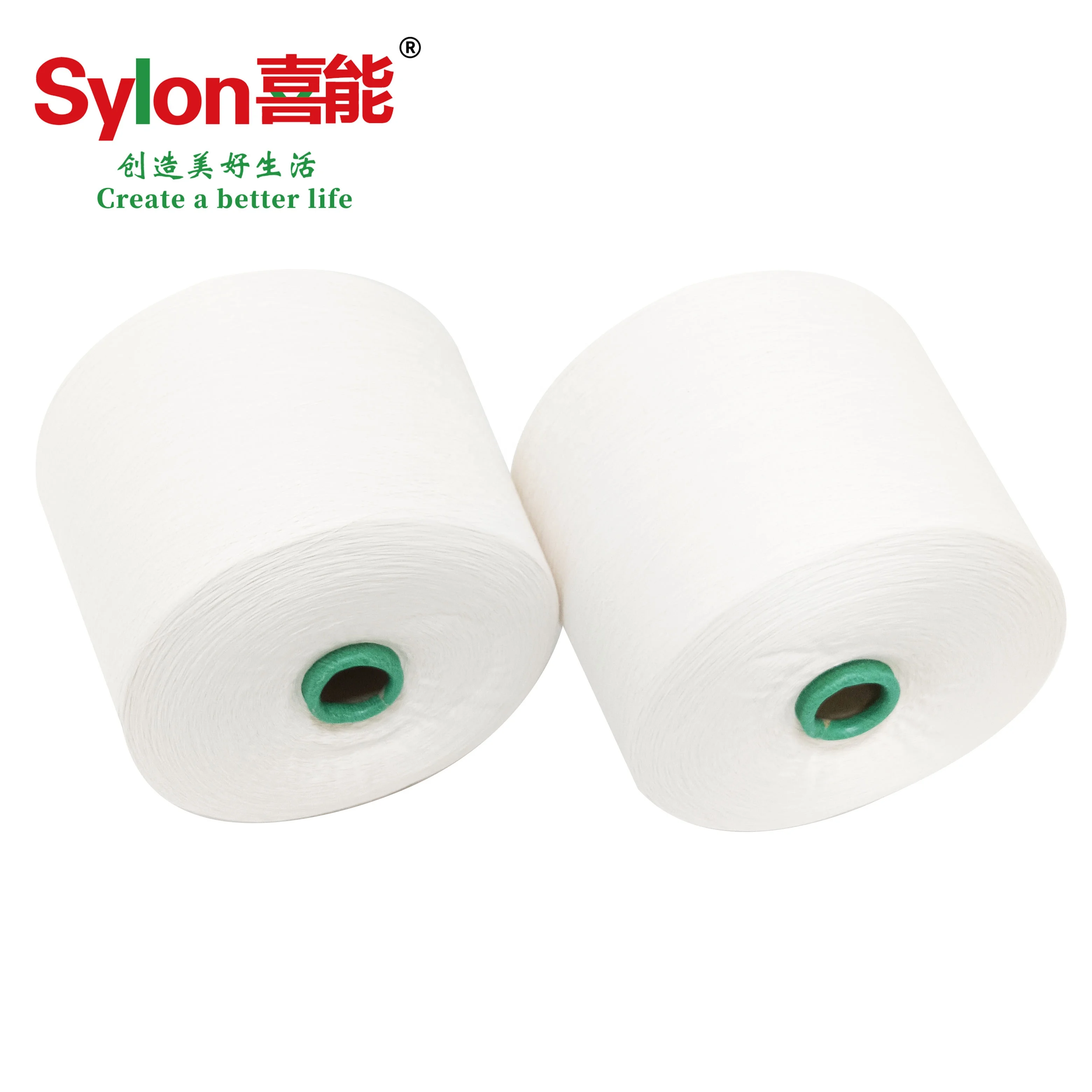 Factory Directly Sale High Tenacity Wear and Corrosion Resistance High Quality Nylon 6 Spun Yarn for Knitting Sportswear Socks