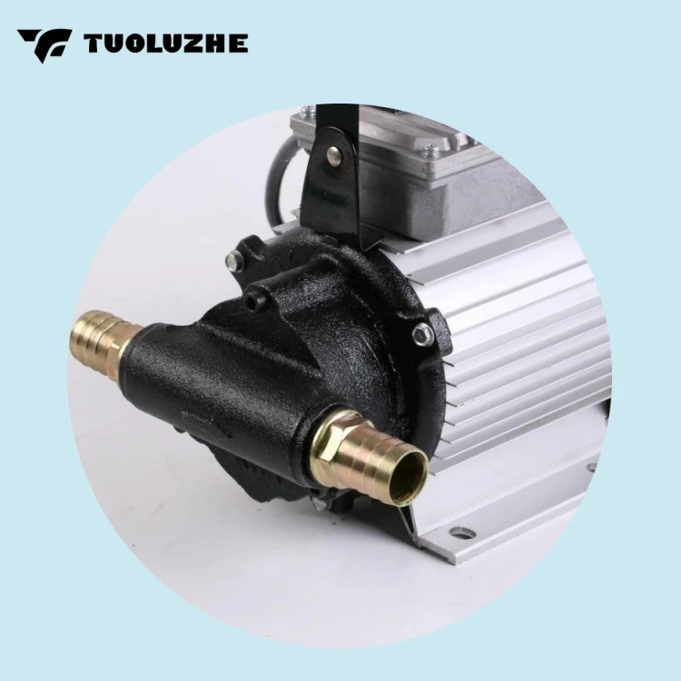 220V-750W Мощный электрический насос для заправки дизельного масла в сборе