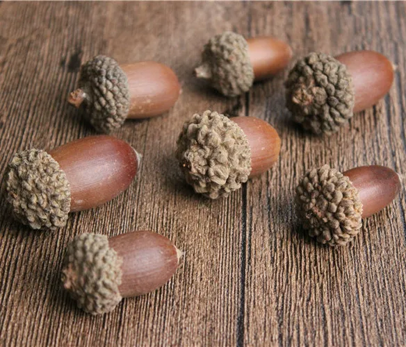 Dry Flowers  Big Acorn for Handmade DIY Material  Christmas Tree Hanging Decoration and Interior Hanging Decoration