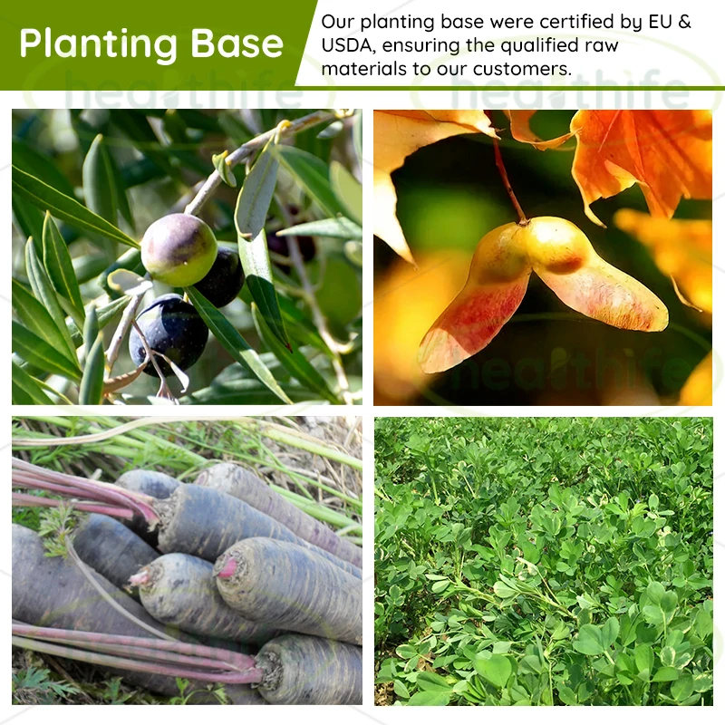 Prebiotic Fiber Sweetener Chicory Root Extract 90% Organic Inulin Powder