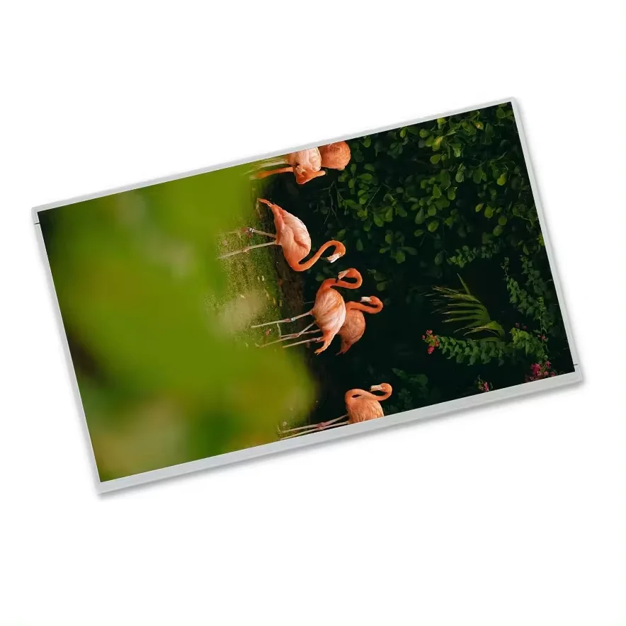 MV238FHM-N60 1920*1080 23.8 inch  lcd display tft lcd screen moduletft lcd panel tft screen