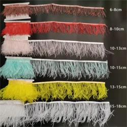 Factory Spot ostrich feather accessories  color ostrich feather