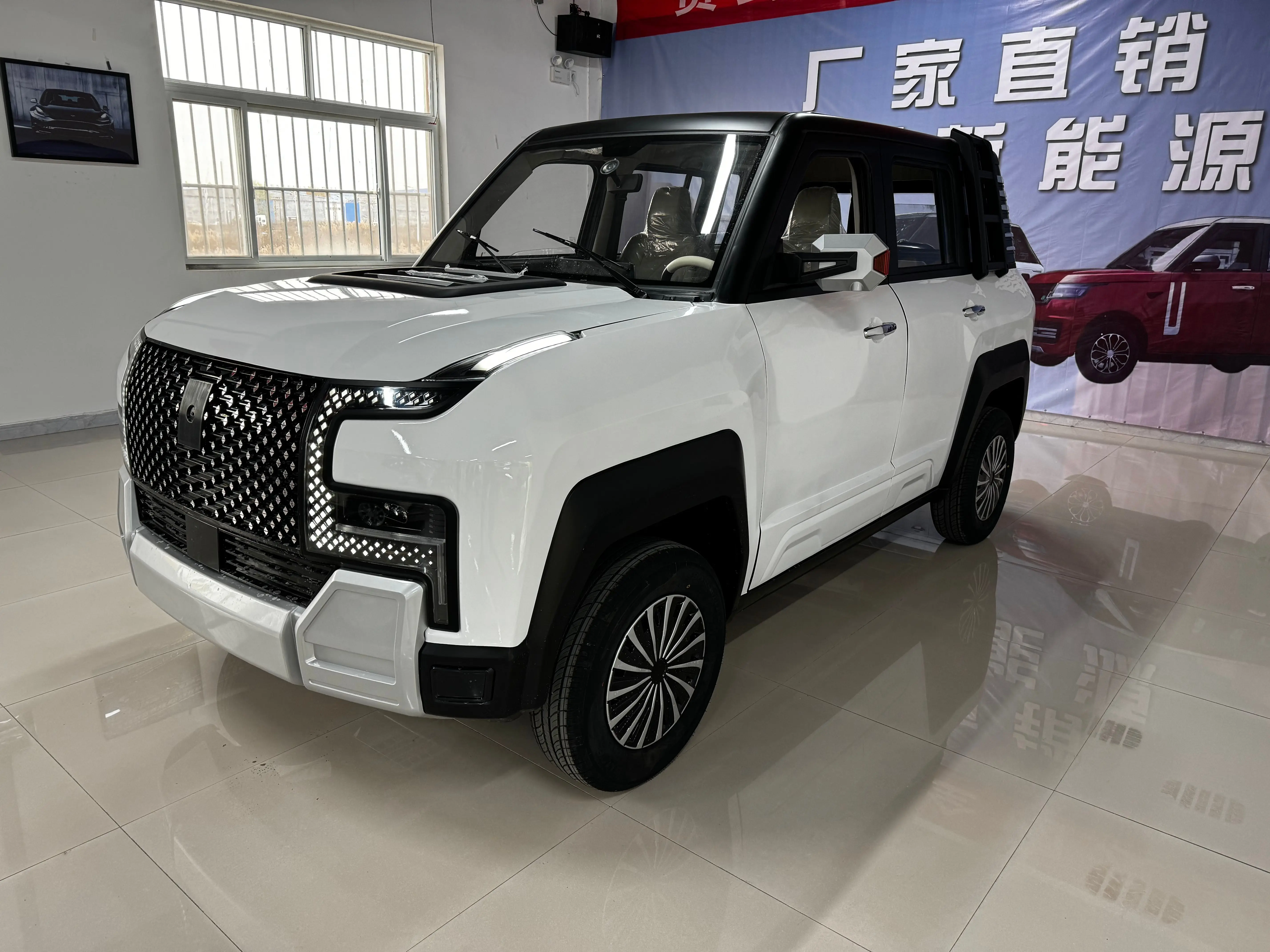 Mini Electric New Energy Vehicle Car