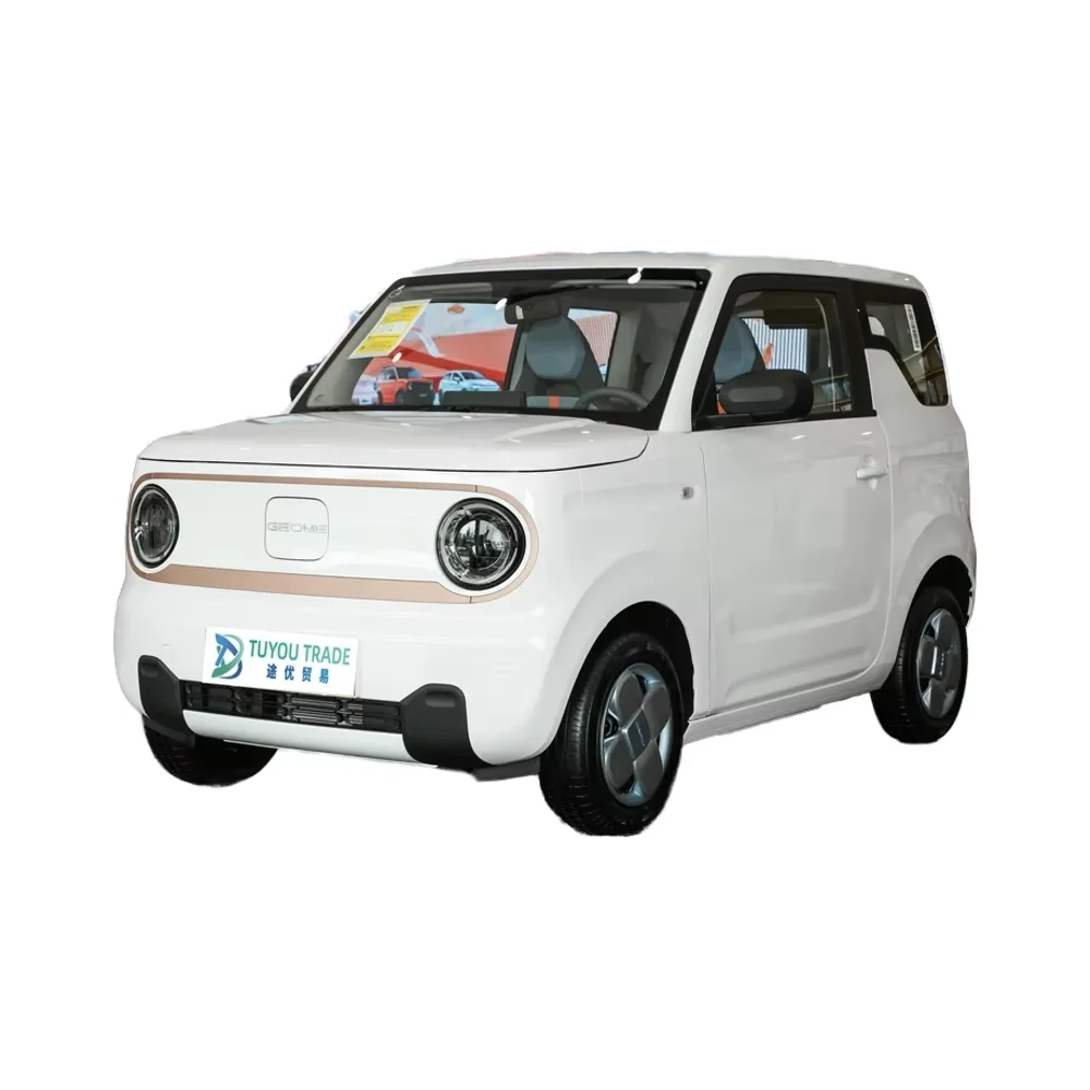 2024 Geely Panda Новый энергетический Электрический Интеллектуальный автомобиль 3-дверный 4-местный мини-автомобиль со скоростью 200 км/ч