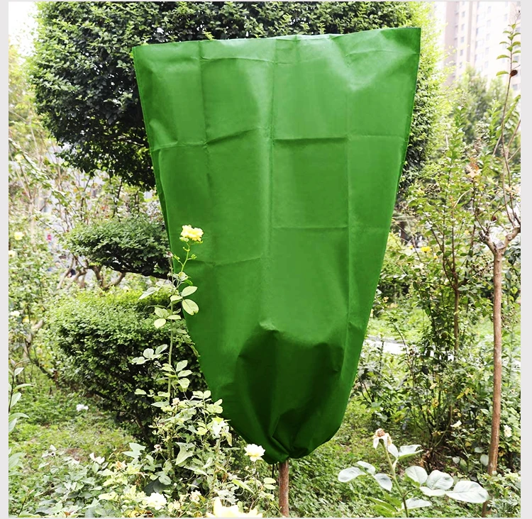 PP Spun Bonded Non Woven Agriculture Cover Garden Fleece Cloth Anti Frost Plant Cover Nonwoven 100% Polypropylene Canvas Fabric