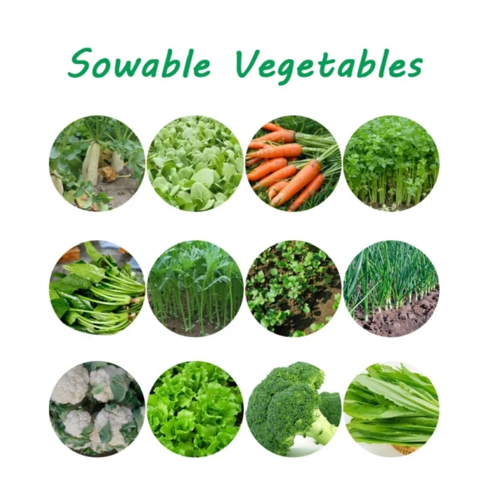 Vegetable Manual Seeder Carrot Seeder for Vegetable Small Coriander Cabbage Spinach Economical Hand Planter