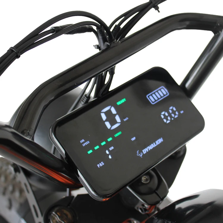 DYNALION High performance fat tyre e-bikes 48V 1000W motor 48V 16Ah Li Battery steel frame disc brake LCD display