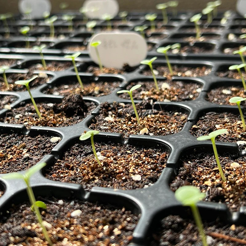 Лотки и крышки для рассады пластиковые 200