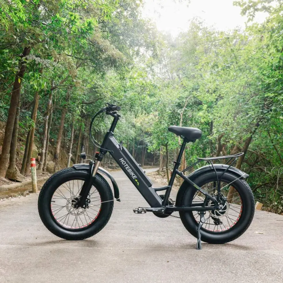 OEM/ODM e-bike 48v electric bike mountain bicycle fat tire e-bike for sale electric mountain bike full suspension